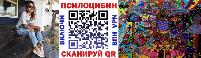 Галлюциногенные грибы GOLDEN TEACHER  где можно купить   Куса 